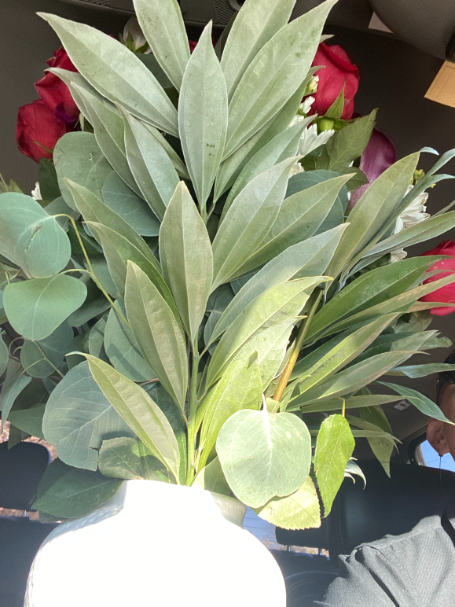 southern exteriors roofing