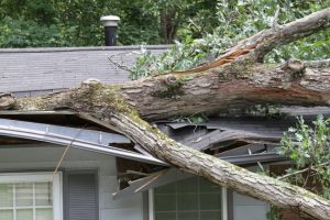 Reasons to Hire a Roofing Company That Deals With Roof Insurance Claims