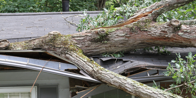 Reasons to Hire a Roofing Company That Deals With Roof Insurance Claims